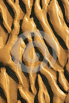 Texture of ridges in sand