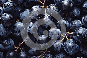 Texture of ripe black grapes. Vitamins, proper nutrition, winemaking