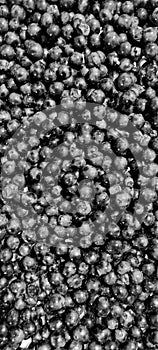 Texture of Ripe Dark Grapes