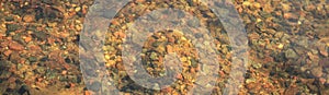 The texture of the river bottom with granite pebbles through the clear spring water