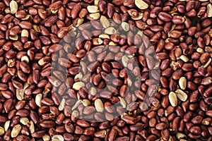 Texture of roasted peanuts close-up