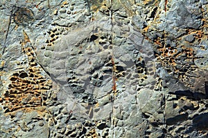 Texture of Rock