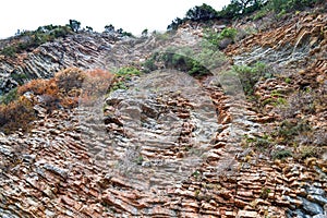 Texture of the rock. Large rocks exfoliate from the rock. The roots of the tree hang down