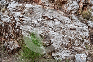 Texture of the rock. Large rocks exfoliate from the rock. The roots of the tree hang down