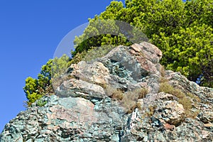 Texture of the rock. Large rocks exfoliate from the rock. The roots of the tree hang down