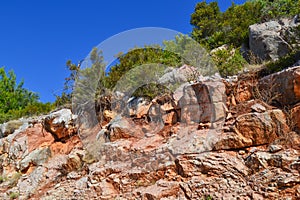 Texture of the rock. Large rocks exfoliate from the rock. The roots of the tree hang down