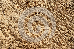 The texture of the rock processed with a tools.