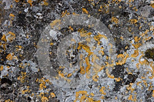 Texture rock seamless, rock surface