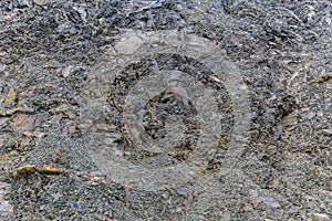 Texture of rock