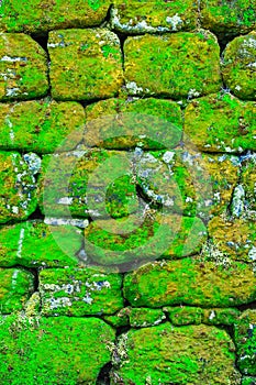 Texture of rock wall overgrown with moss