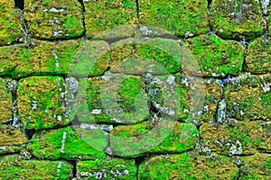 Texture of rock wall overgrown with moss