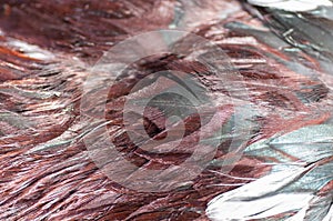 Texture rooster feather brown