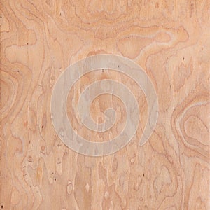 Texture of root, wood texture