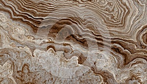 Tree roots background with wavy rings