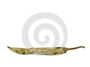 The texture of rotten green chilies is characterized by shrivelling due to crop failure. Isolated on white background