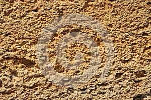 Texture of rough bricks made of shellfish