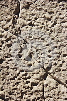 Texture rough brown gray surface of an old cement wall with cracks, patterns and divorces