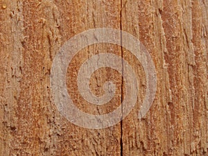 Texture of rough pine Board. Wooden surface covered with splinters and cracks