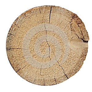 Texture of a round cut of wood on a white isolated background. Slivers. Cut down trees. Wooden logs and wood chips