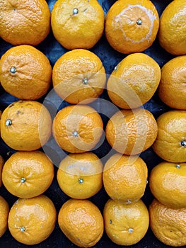 texture row of orange fruits.