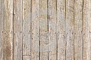 Texture of Rustic weathered barn wood with rusty nails