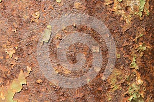 Texture of rusty steel plate