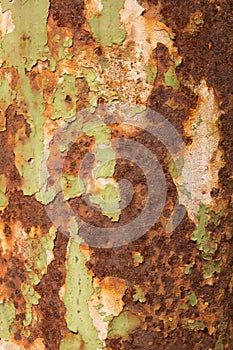 Texture of rusty steel plate