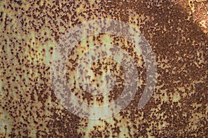 Texture of rusty steel plate