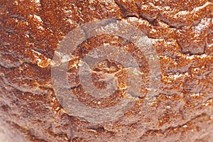 Texture of rye bread crust