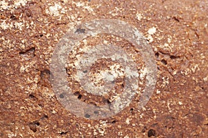 Texture of rye bread crust