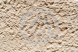 Texture sand background close up