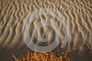 Texture of sand for background, pattern