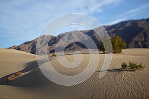 Texture of sand for background. pattern of sand