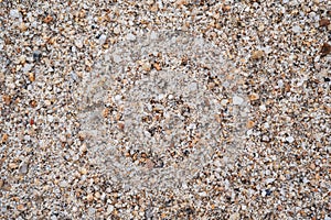 texture of sand on the beach close up. Background with a sandy pattern on the beach by the sea