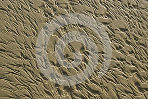 Texture at sand beach.