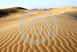 The texture of sand in the desert