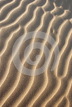 The texture of sand in the desert
