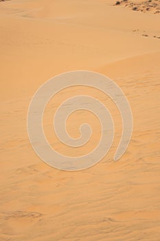 The texture of sand in the desert as a natural background.