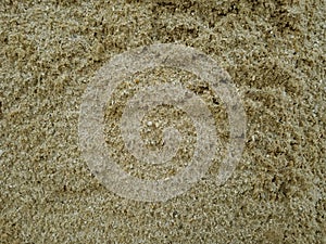 texture of sand for design as a background