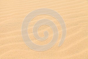 Texture Sand Dune Desert in Boavista, Cape Verde