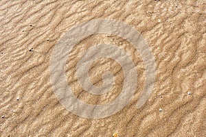 Texture of sand of red color with a pattern in the form of an ox on the seashore. Concept background, texture