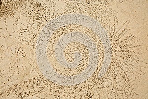 Texture on the sand. Sandy balls around the hole of Sand Bubbler ghost Crabs