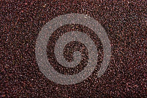 Texture of the sandpaper of a red color is macro