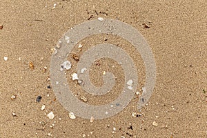 Texture. Sandy beach for background. Top view. Natural sand stone texture background. sand on the beach as background. Wavy sand b