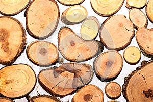 Texture of saw cuts of small wooden pieces of saw cut circles of tree life are beautifully visible