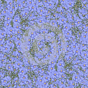 texture of a seamless flower pattern. blue flax. decorative design elements