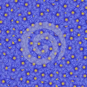 texture of a seamless flower pattern. blue flax. decorative design elements