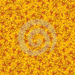 texture of a seamless flower pattern. bright marigolds. decorative design elements