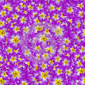 texture of a seamless flower pattern. decorative design elements