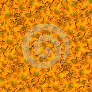 texture of a seamless flower pattern. decorative design elements